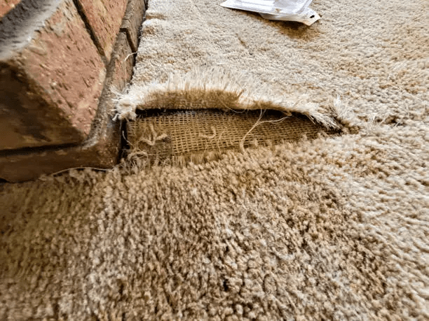 Carpet Repair Services Melbourne