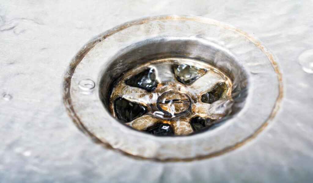 How to Identify and Prevents Blocked Drains in Your Home